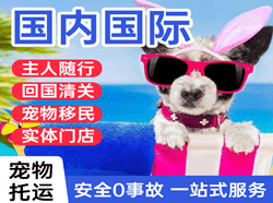 吕梁大武国际宠物托运 【国